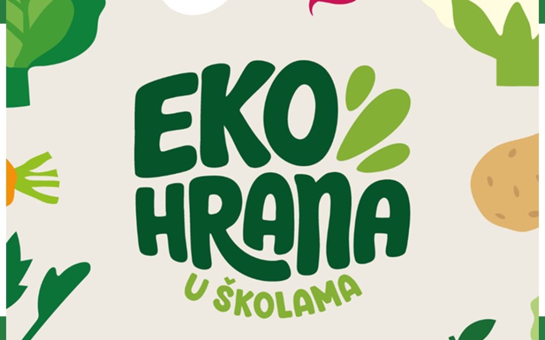 EKO, AUDIO, VIDEO I SLIČNI NEPRAVILNIZMI